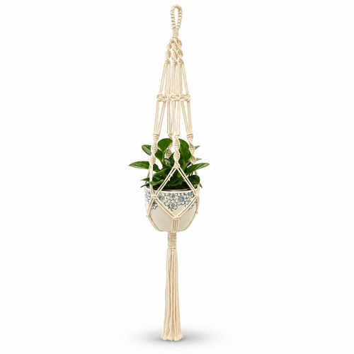 Braided Cotton Rope Macrame Plant Hanger